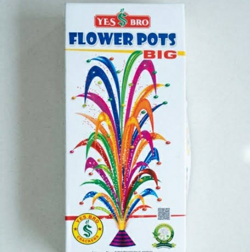 Flower Pot Big (10 Pcs)