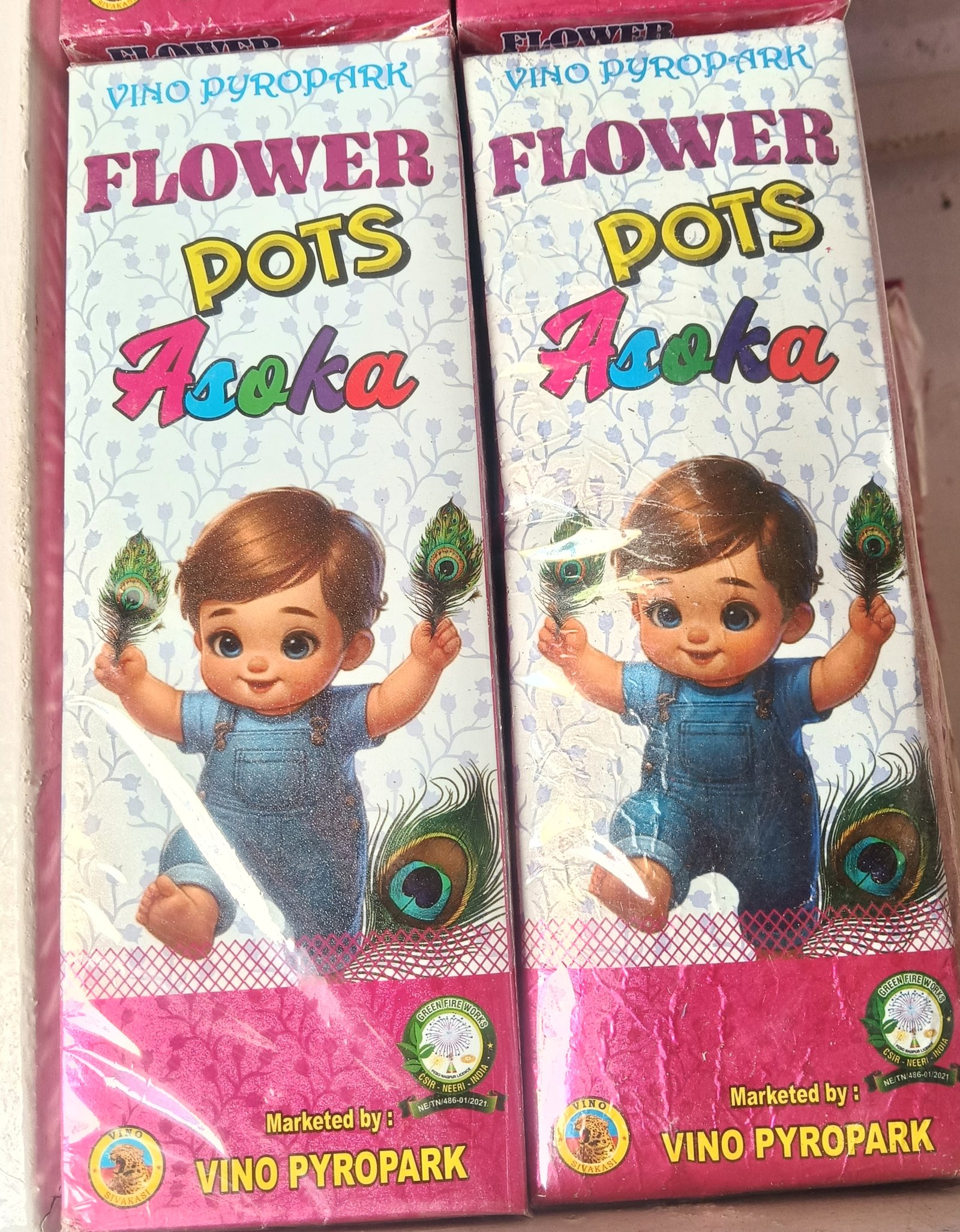 Flower Pot Ashoka (10 Pcs) Vino